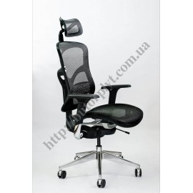 SPINERGO BUSINESS