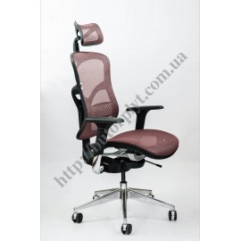 SPINERGO BUSINESS SPINERGO BUSINESS