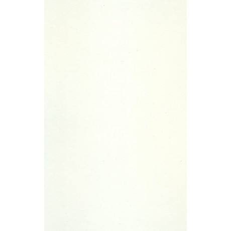 Стільниця Swiss Krono Білий сніжний K 101 PE 4100x600x38 мм